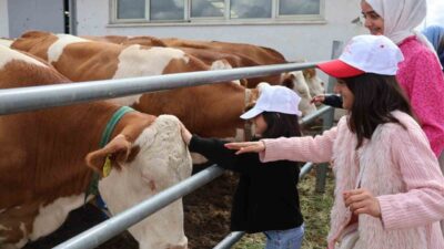 2025 Aile Yılı ve Süt Haftası etkinlikleri kapsamında Erzurum’da örnek