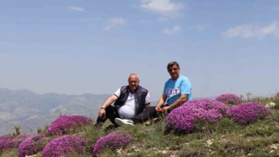 Erzurum’un Olur ilçesinde 2 bin 500 rakımlı Akdağ, bu günlerde