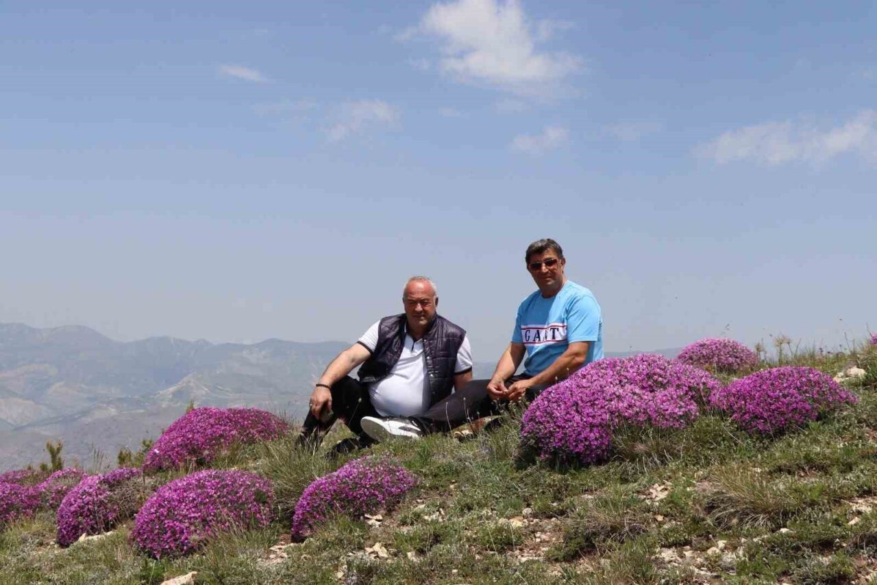 Erzurum’un Olur ilçesinde 2 bin 500 rakımlı Akdağ, bu günlerde