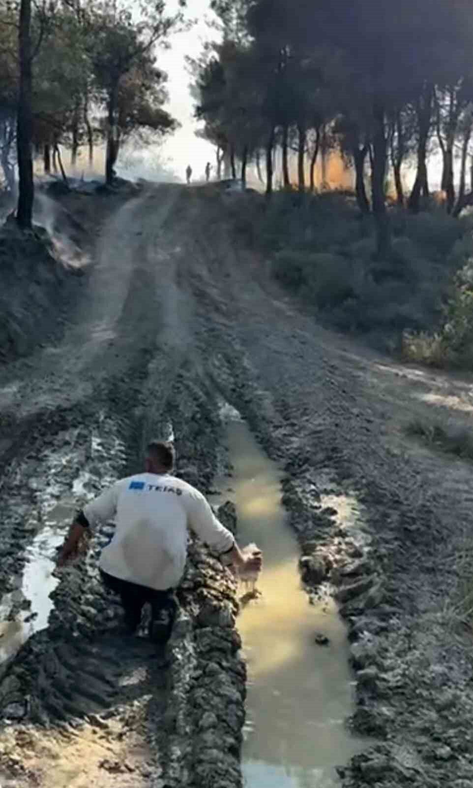 Sakarya’nın Geyve ilçesinde orman yangınında bir vatandaş, çukurdan aldığı suyu