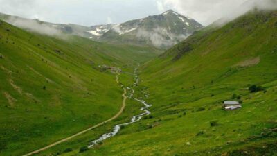 Gümüşhane’nin Torul ilçesi sınırlarındaki Dulağa Yaylası, bahar aylarında açan çiçekleri,
