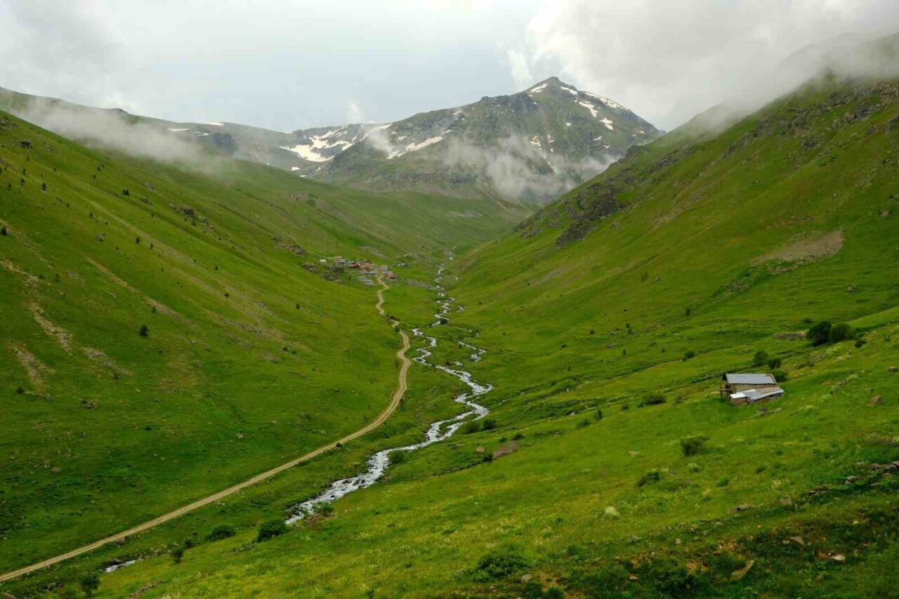 Gümüşhane’nin Torul ilçesi sınırlarındaki Dulağa Yaylası, bahar aylarında açan çiçekleri,