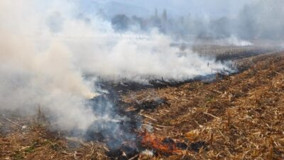 Son günlerde artan hava sıcaklıkları nedeniyle boş arazilerde çıkan yangınlara