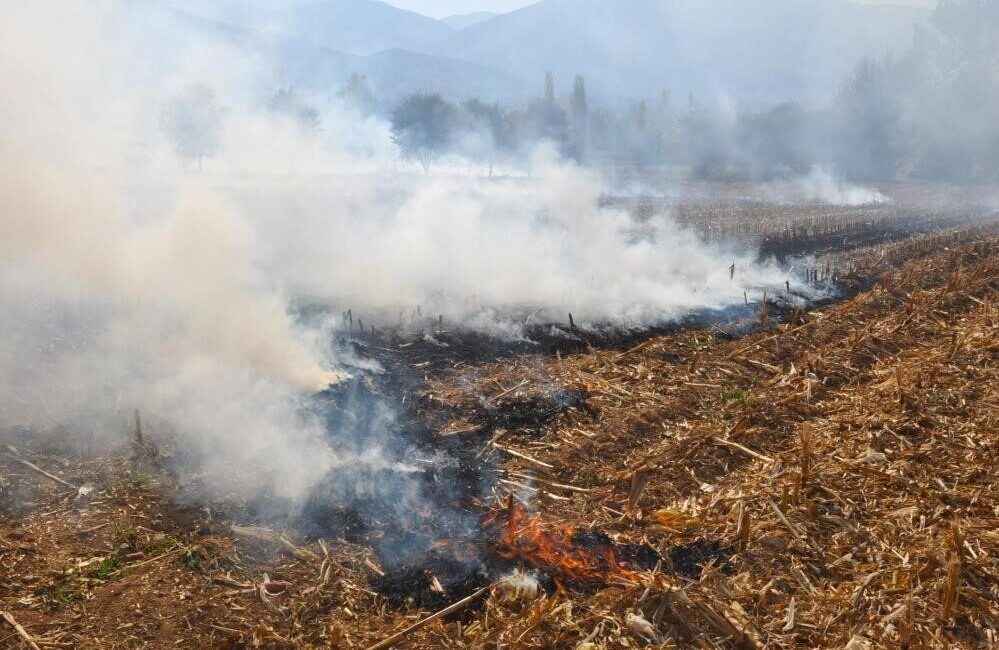 Son günlerde artan hava sıcaklıkları nedeniyle boş arazilerde çıkan yangınlara