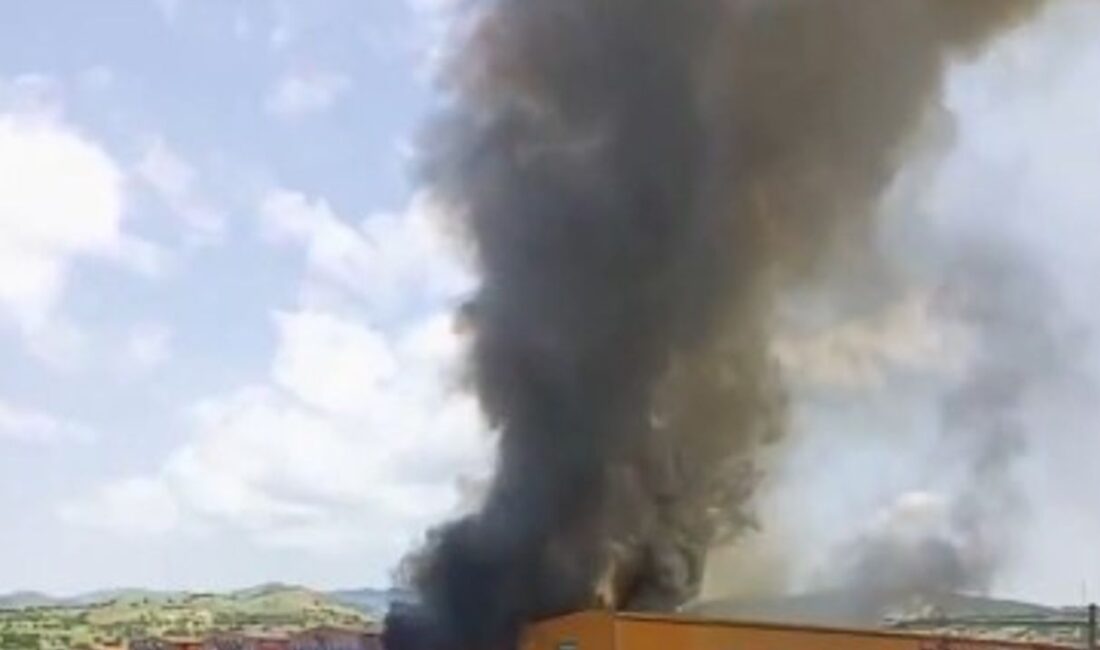 Çubuk ilçesindeki bir yumurta üretim tesisinde çıkan yangında binlerce tavuk