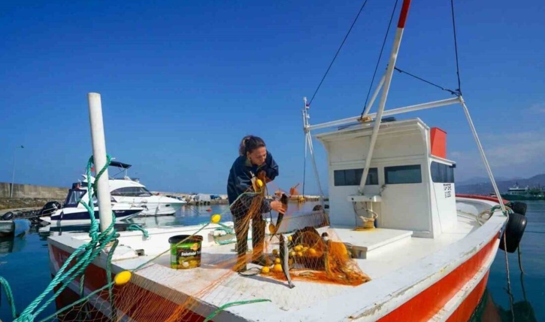 Trabzon’da denizlerde ticari amaçlı su ürünleri avcılığı yapan bin 23