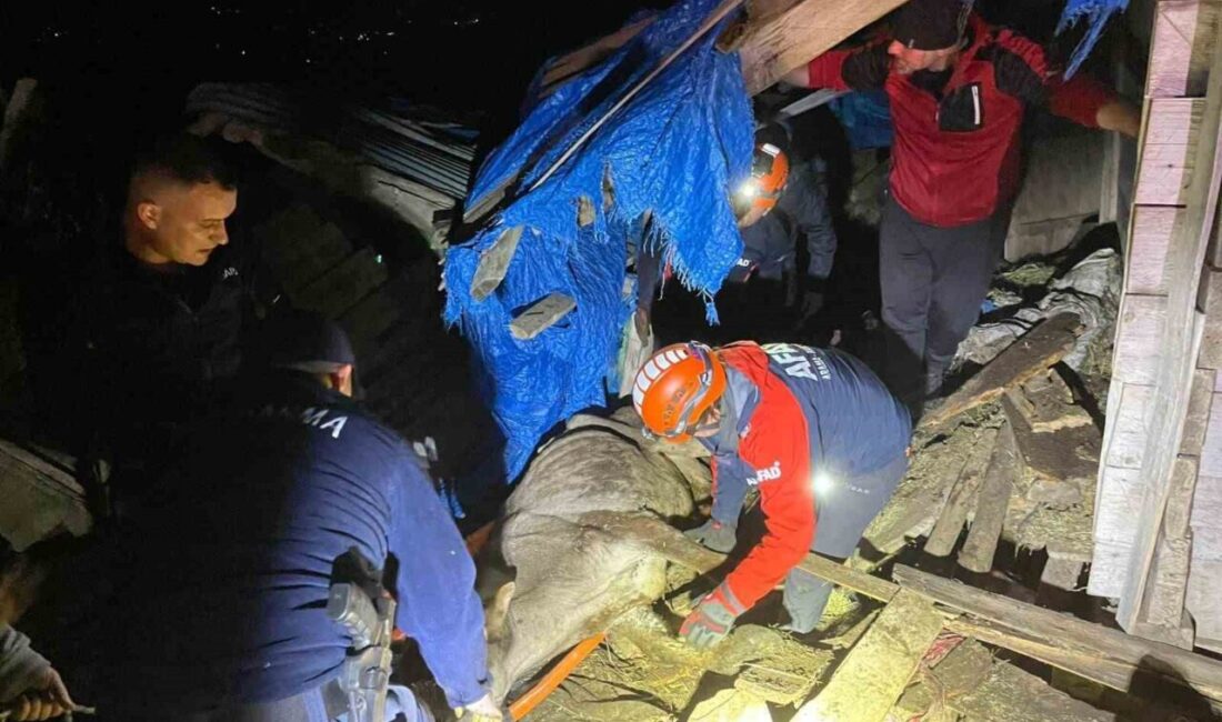 Artvin’in Borçka ilçesinde iki katlı ahır çöktü, içinde bulunan 33