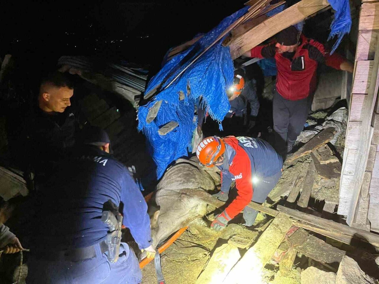 Artvin’in Borçka ilçesinde iki katlı ahır çöktü, içinde bulunan 33