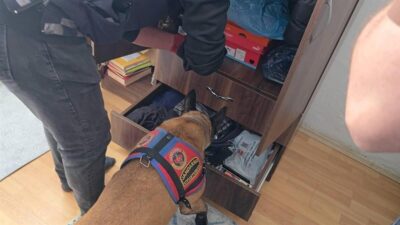 Artvin İl Jandarma Komutanlığı ekipleri, uyuşturucu madde ticaretine yönelik son