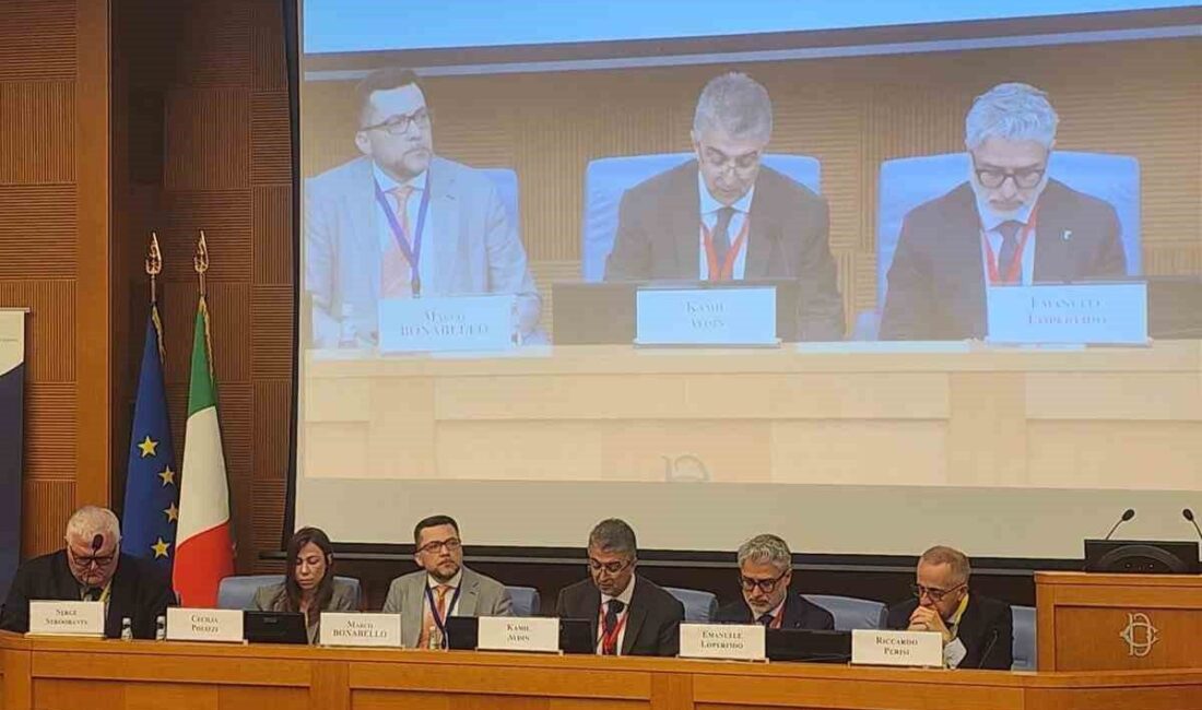 Milliyetçi Hareket Partisi Erzurum Milletvekili ve Avrupa Güvenlik ve İşbirliği