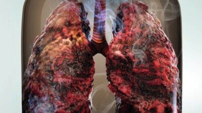 Erzurum Bağımlılıkla Mücadele İl Koordinasyon Kurulu 2025 yılının ilk toplantısında