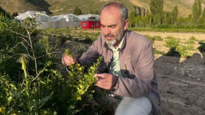 Bayburt Üniversitesi, Tarım ve Hayvancılık Uygulama ve Araştırma Merkezi tarafından