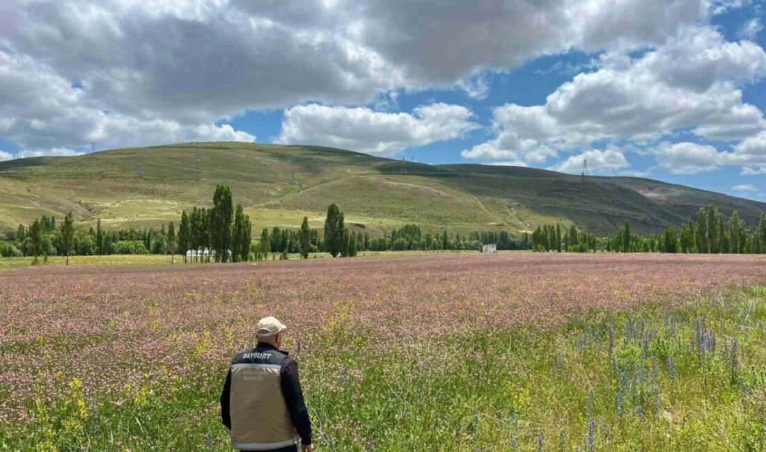 Bayburt İl Tarım ve Orman Müdürlüğü ile Aydıntepe ilçe tarım