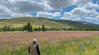 Bayburt İl Tarım ve Orman Müdürlüğü ile Aydıntepe ilçe tarım