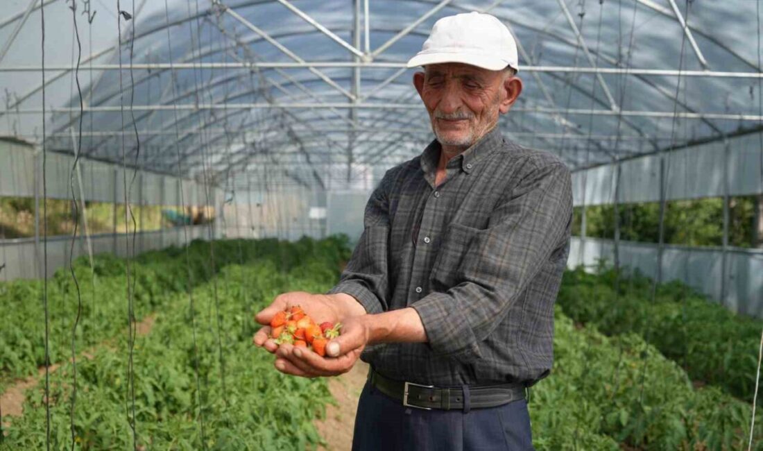 Bayburt’un Aslandede köyünde yarım asrı aşkın zamandır çiftçilik yapan İsmail