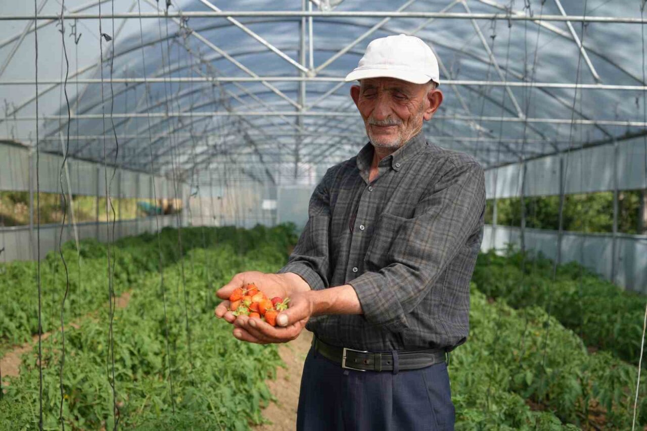 Bayburt’un Aslandede köyünde yarım asrı aşkın zamandır çiftçilik yapan İsmail