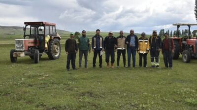 Bayburt’un Çiğdemtepe köyünde 185 dekar mera alanında üst gübreleme çalışması