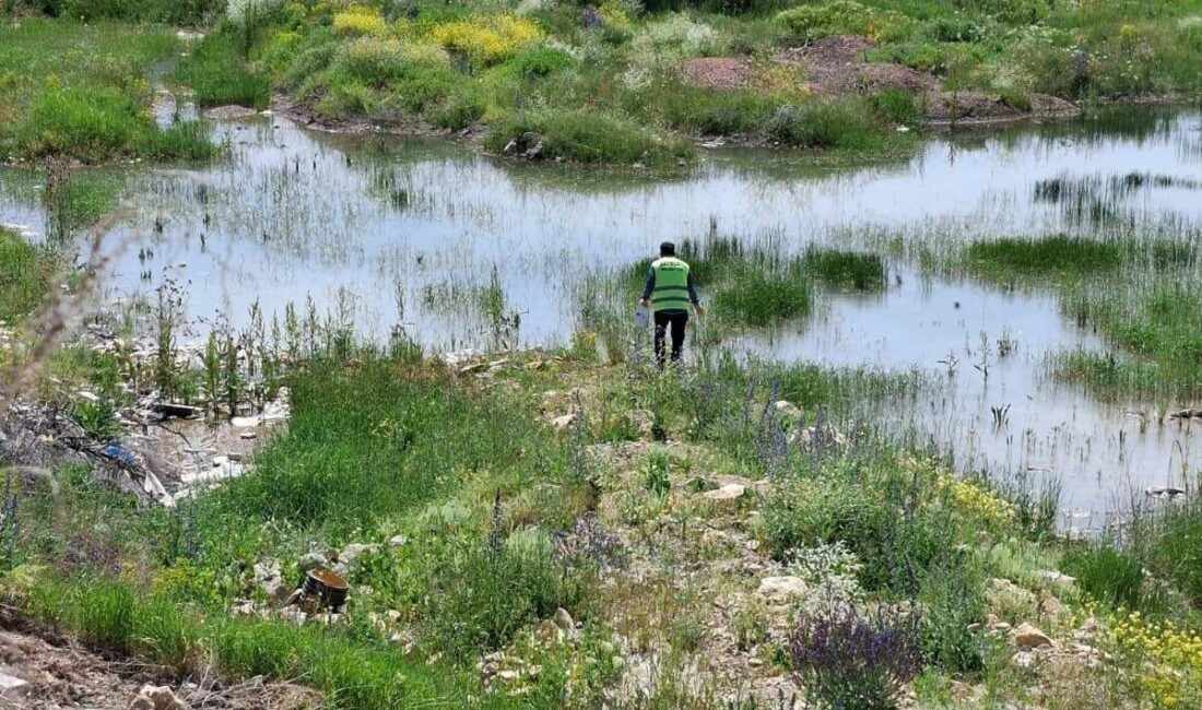 Bayburt’ta Veteriner İşleri Müdürlüğü ekiplerince bit, pire, kene, larva ve