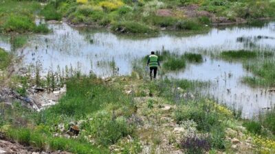 Bayburt’ta Veteriner İşleri Müdürlüğü ekiplerince bit, pire, kene, larva ve
