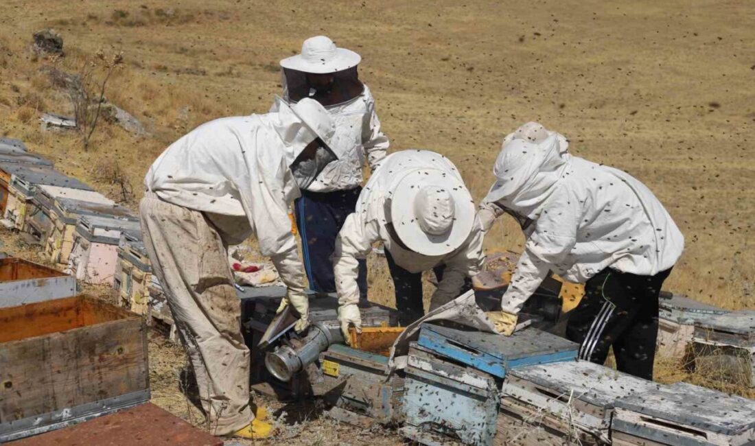 Zengin bitki örtüsüne sahip Bayburt’un yaylalarında ve köylerinde arıcılık yapan