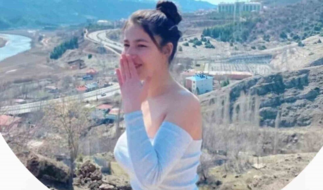 Bir buçuk saatlik müdahale sonrası kalbi çalıştırılmıştı, hayata tutunamadı Tunceli’de Munzur Çayı’na düştükten sonra kalbi duran ve doktorların uzun