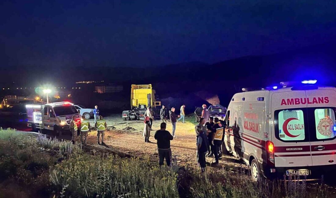 Ardahan’ın Çıldır ilçesinde meydana gelen trafik kazasında 2 kişi hayatını