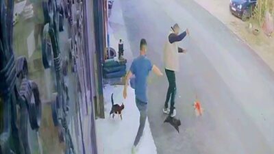 Erzurum’da köpeğini gezdirmeye çıkaran vatandaş bir anda iki çılgın kedinin