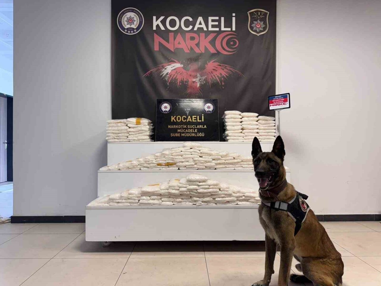 Kocaeli TEM Otoyolu’nda narkotik köpeği ile cipte yapılan aramada zulalanmış