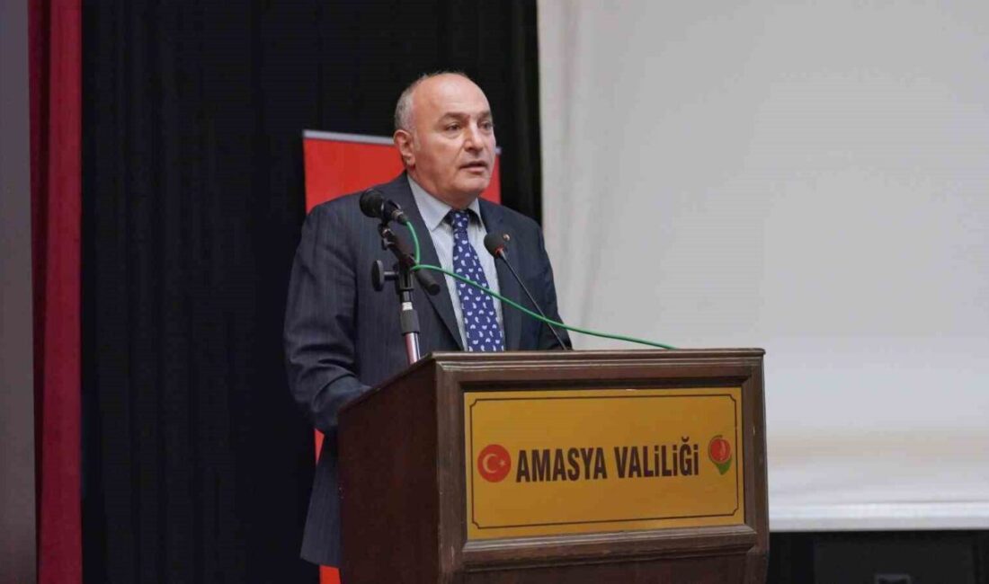 Amasya, Samsun, Sivas ve Erzurum Ticaret ve Sanayi Odaları, Amasya