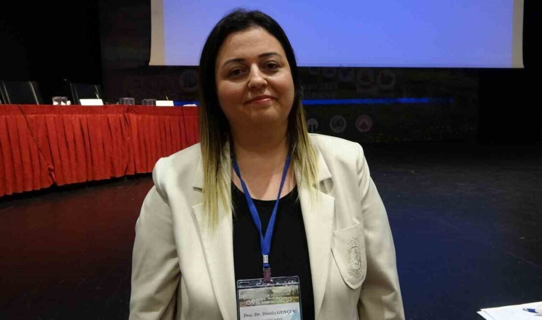 Dünyada 2024 yılında toplam 16 bin 753 kişinin afetler nedeniyle