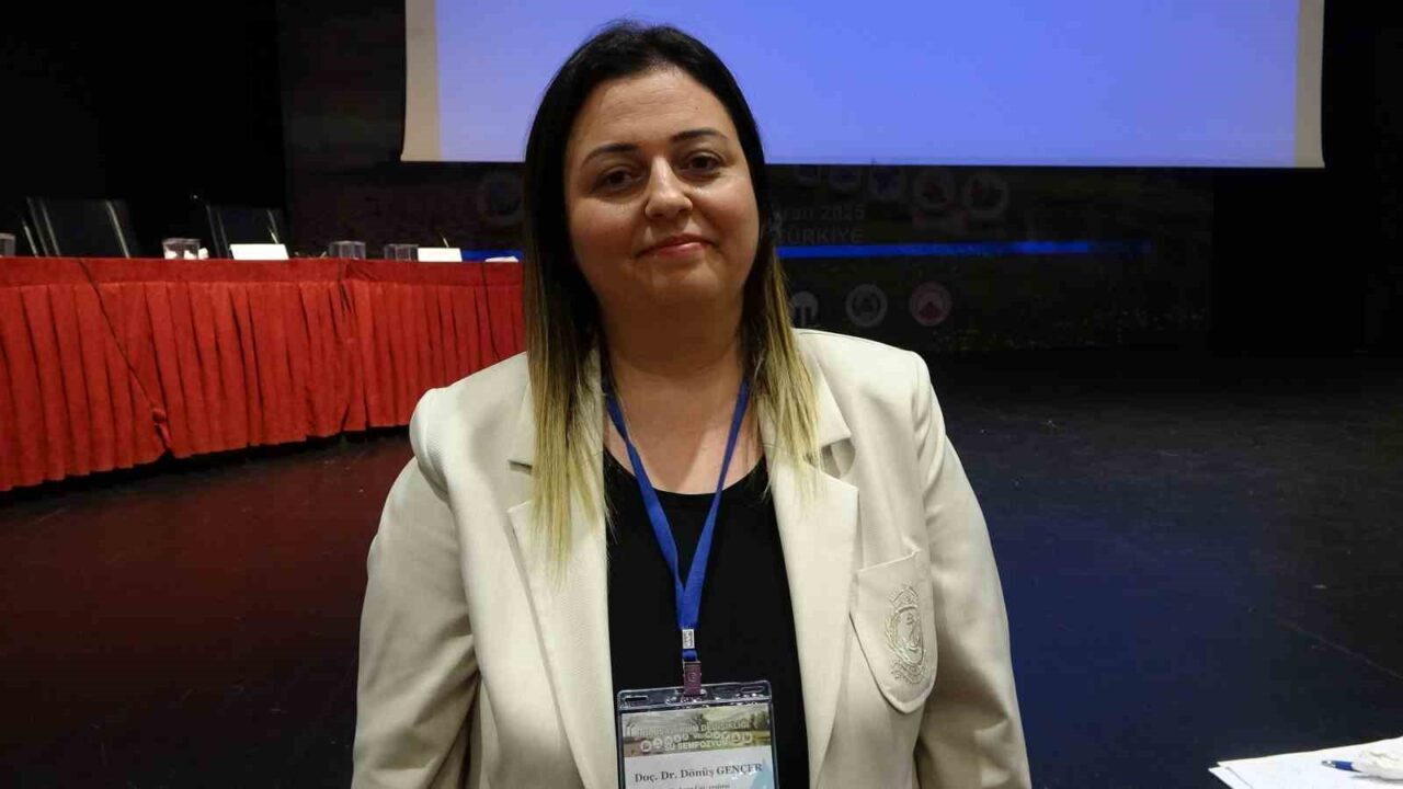 Dünyada 2024 yılında toplam 16 bin 753 kişinin afetler nedeniyle