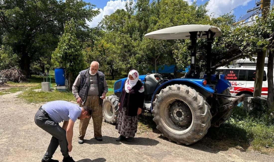 Havaların ısınmasıyla birlikte kenelerde çıkmaya başladı. Kene ısırması sonucu meydana