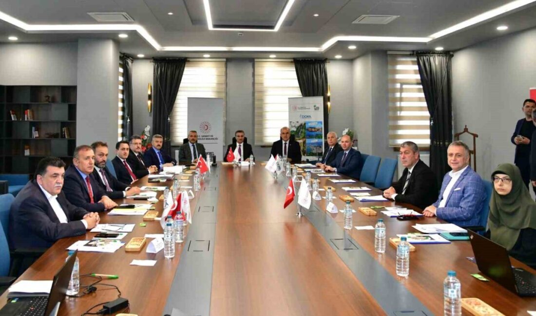 DOKA’nın Yönetim Kurulu Rize’de toplandı Doğu Karadeniz Kalkınma Ajansı’nın (DOKA) Yönetim Kurulu Toplantısı Rize’de yapıldı.
