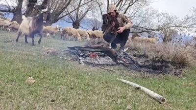 Erzincan’ın Çayırlı ilçesi Çilhoroz köyü yaylasında dolu yağışı etkili oldu.