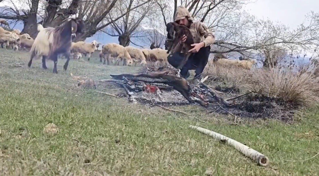 Erzincan’ın Çayırlı ilçesi Çilhoroz köyü yaylasında dolu yağışı etkili oldu.