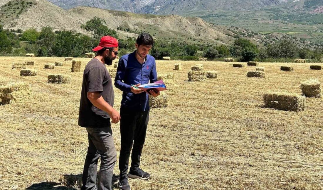 Tarım ve Orman Bakanlığı’nın planlı üretime geçmesi ve yeni destekleme