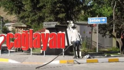 Erzincan’ın turizm beldesi Çağlayan’da oğul veren bal arıları, kısa süreli