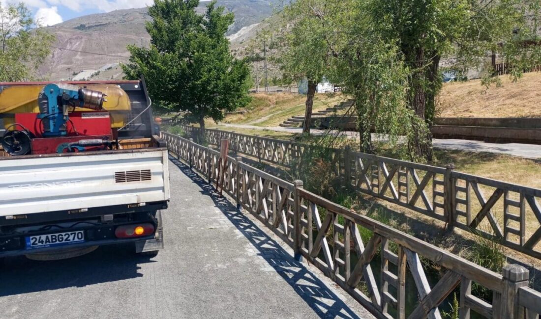 Erzincan Belediyesi Veteriner İşleri Müdürlüğü ekipleri tarafından yürütülen larva ilaçlama