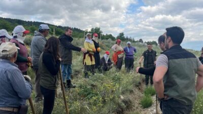 Erzincan’da fidanların yetişmesinden dikimine ve bakımına kadar kadın işçiler önemli