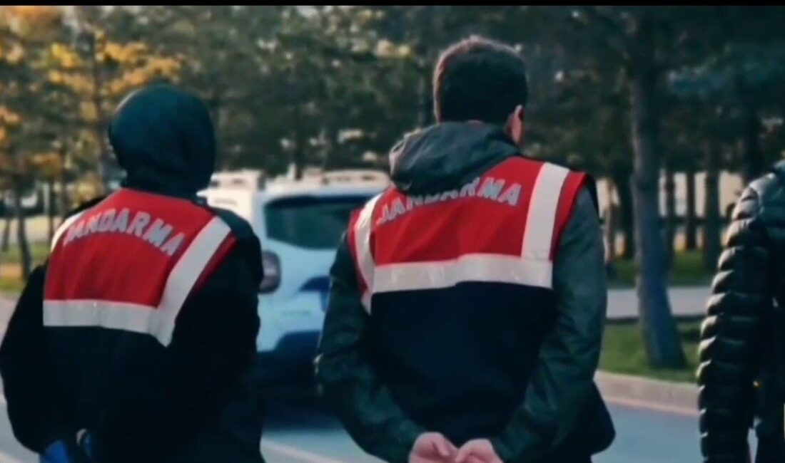 Erzurum merkezli siber dolandırıcılık operasyonunda 9 şüpheli yakalanarak gözaltına alındı.