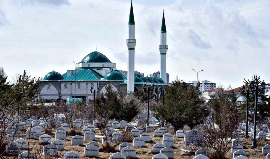 Türkiye İstatistik Kurumu (TÜİK) 2024 yılı Ölüm ve Ölüm Nedenleri