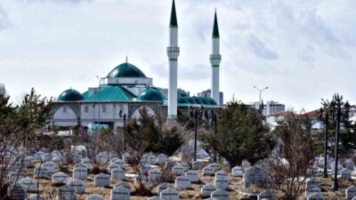 Türkiye İstatistik Kurumu (TÜİK) 2024 yılı Ölüm ve Ölüm Nedenleri