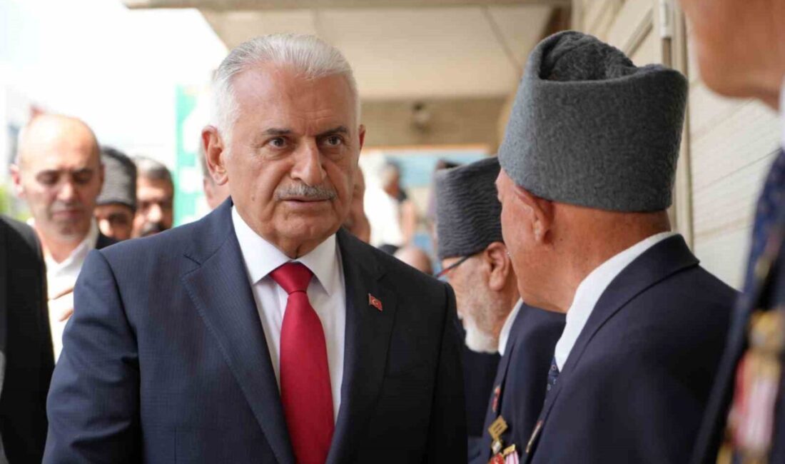 Türk Devletleri Teşkilatı (TDT) Aksakallar Konseyi Başkanı Binali Yıldırım, Buğday
