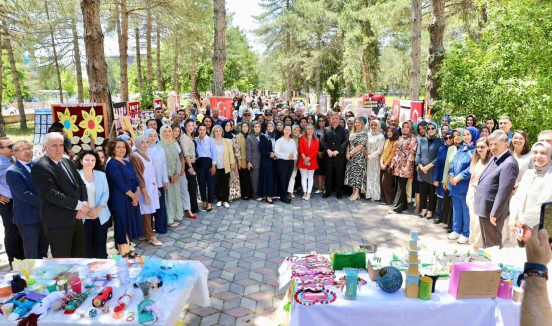 Erzincan Valiliği himayelerinde İl Milli Eğitim Müdürlüğü tarafından hayata geçirilen