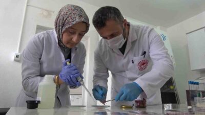 Kurban Bayramı’nda kesilen etin, henüz sıcakken buzdolabına konulmasının sağlık açısından