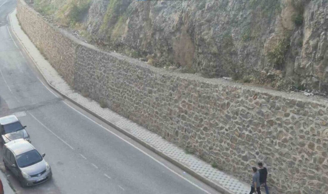 Gümüşhane’de kent merkezine kadar inen 3 yaban keçisi, mahalle sakinleri