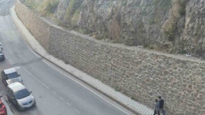 Gümüşhane’de kent merkezine kadar inen 3 yaban keçisi, mahalle sakinleri