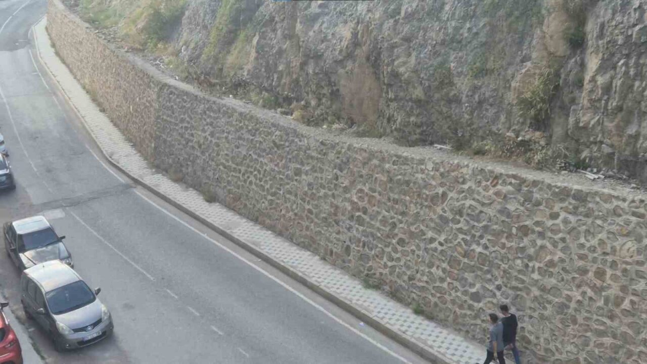 Gümüşhane’de kent merkezine kadar inen 3 yaban keçisi, mahalle sakinleri