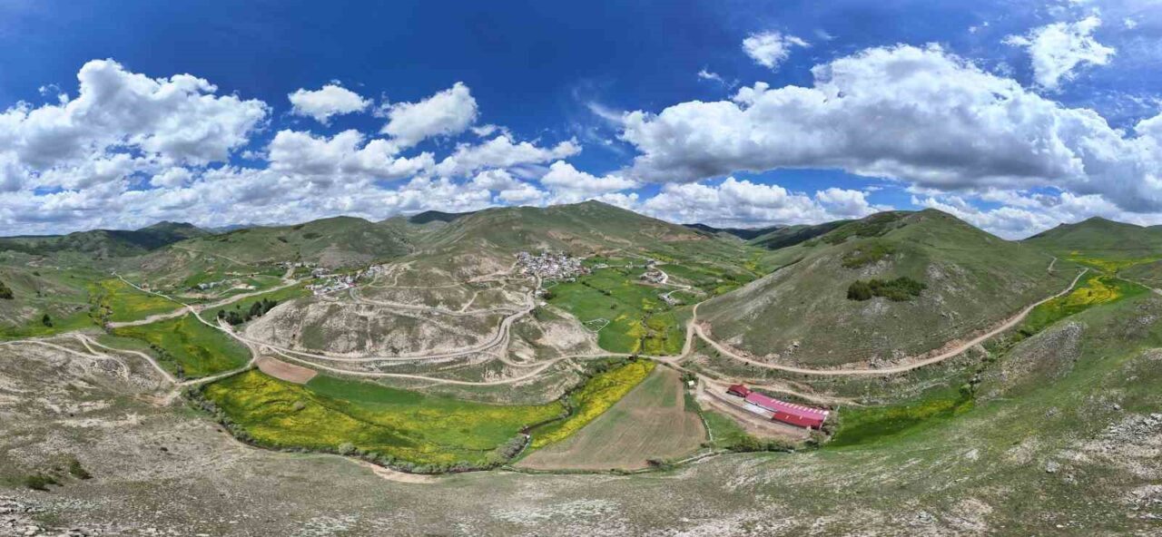 Gümüşhane merkeze bağlı Sarıçiçek köyü, vadi boyunca adını aldığı sarı