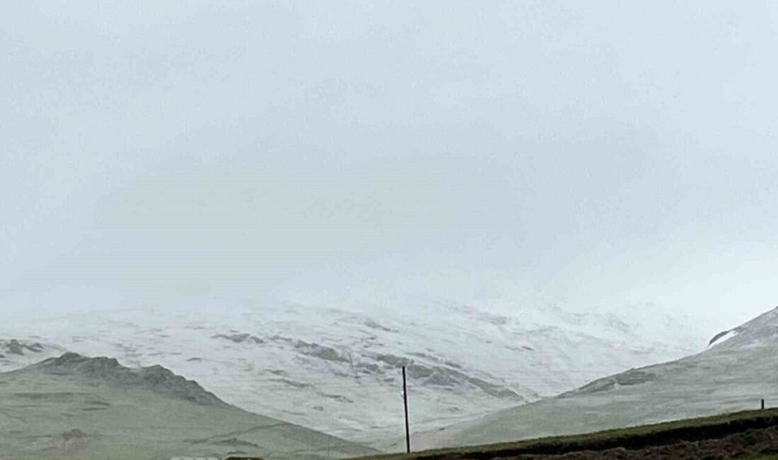Gümüşhane’de Haziran ayının ilk günlerinde etkili olan yağmur, yüksek rakımlı